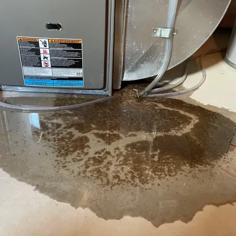 Appliance Leak Cleanup in Rochester, NY